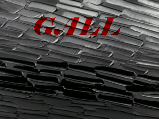 Gall (2014)